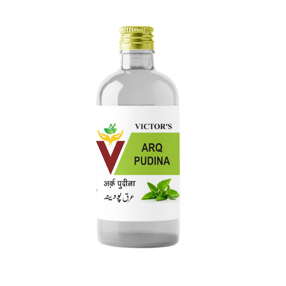 Arq Pudina image 0
